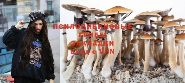тгк Михайловск