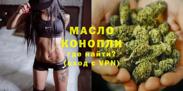 мдпв Михайлов